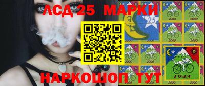 прущий лед Будённовск