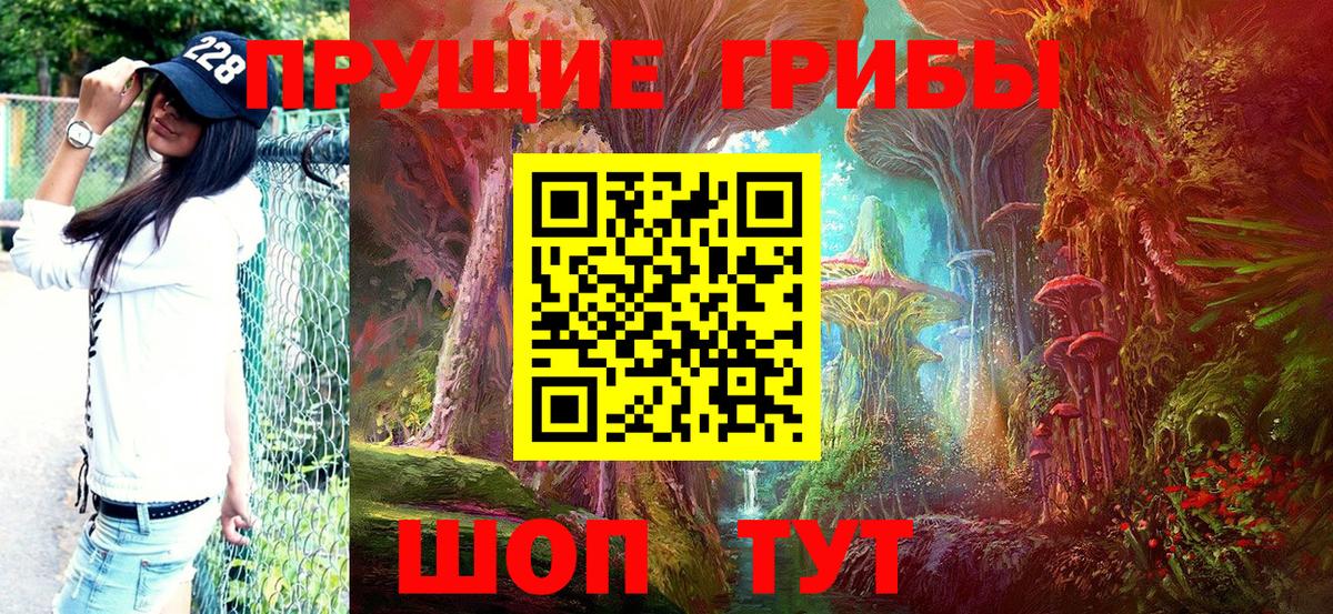 купить закладку  Вход с VPN  Урюпинск  Псилоцибиновые грибы Psilocybine cubensis 