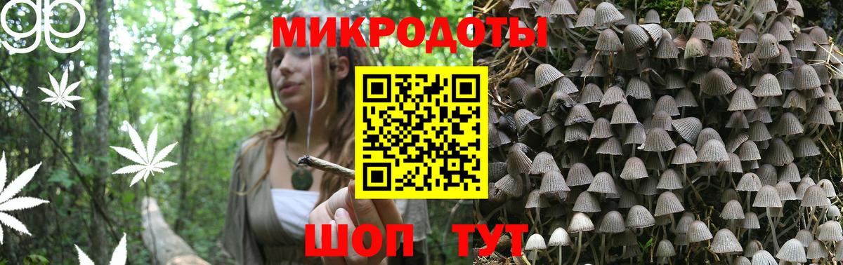 Псилоцибиновые грибы мухоморы Урюпинск